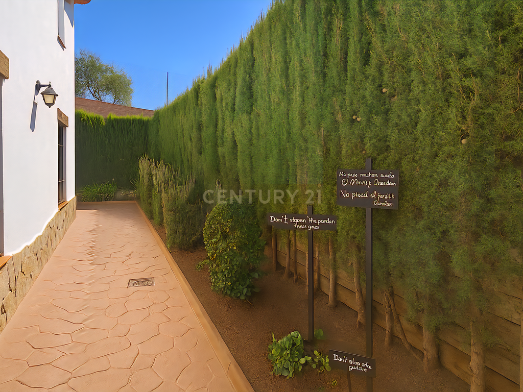 Complexo turístico em Arriate com 3 apartamentos acessíveis, jardim, piscina acessível e licença — elevada rentabilidade garantida - Image 9