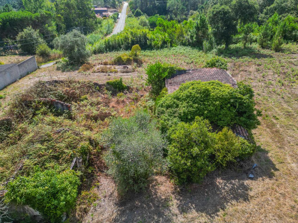 Propriedade com duas casas para reabilitar, terreno e poço na Costeira – Figueira da Foz - Image 22