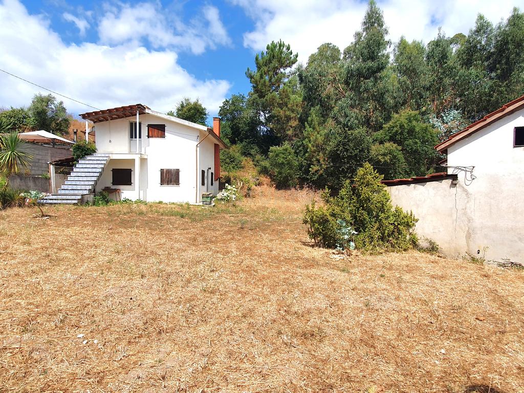 Moradia Isolada I Terreno I São Martinho do Bispo - Image 8