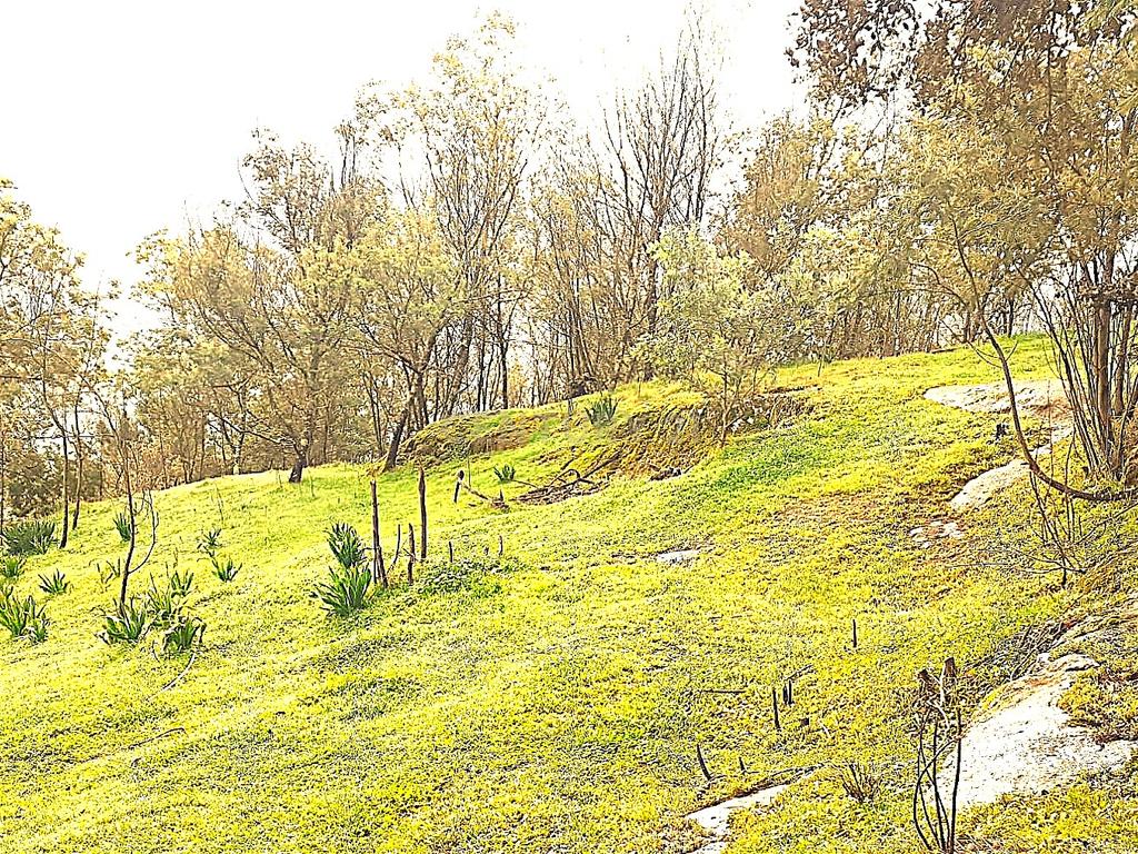 Belíssima ruína em terreno verdejante com vista deslumbrante para o Rio Douro, Baião, Porto - Image 41
