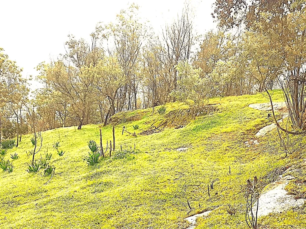 Belíssima ruína em terreno verdejante com vista deslumbrante para o Rio Douro, Baião, Porto - Image 41