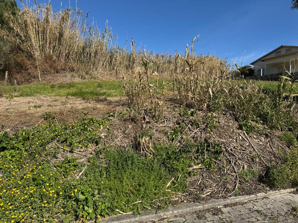Terreno Panorâmico em Pombal - 1020m² por 34.500€ - Image 8