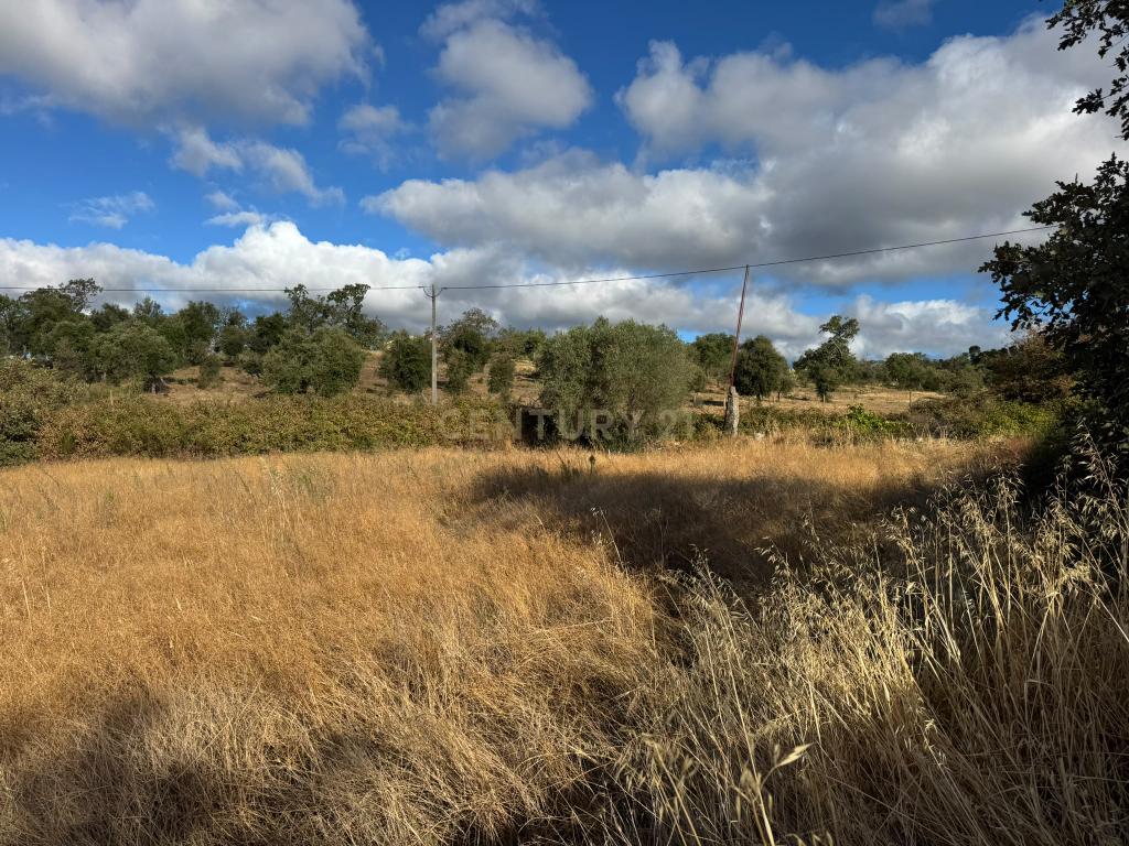 Terreno Rústico, com construção rural em Penamacor, Castelo Branco - Image 4