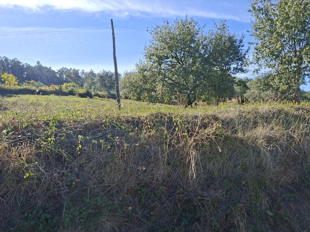 Terreno em Pombal com Vista Panorâmica e Acessos Convenientes - Image 6