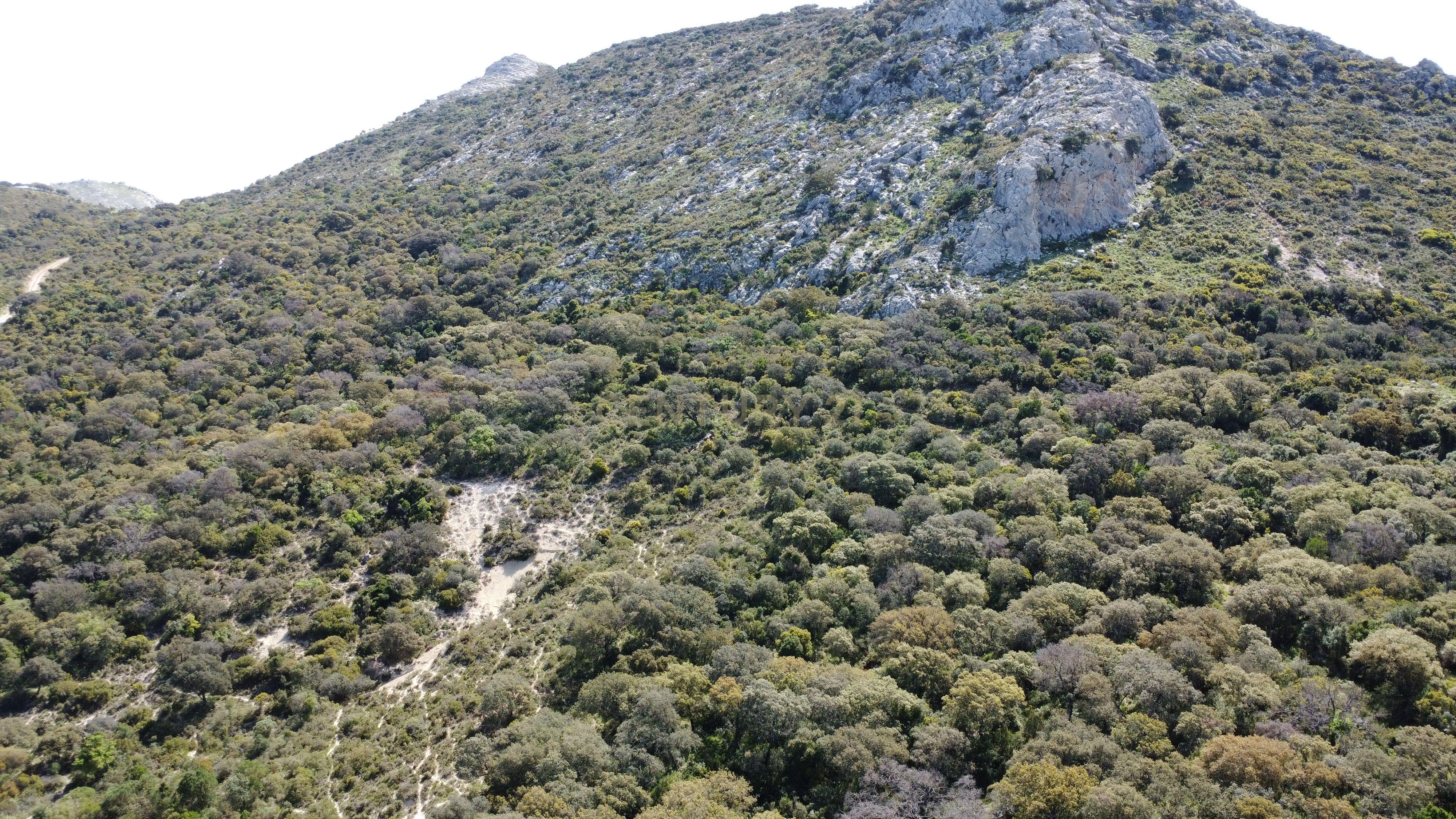 VENDA DE PROPRIEDADE RÚSTICA EM ANTEQUERA COM EXPLORAÇÃO DE AGROTURISMO - Image 10