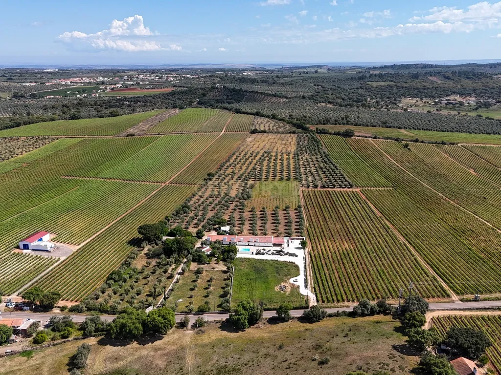 Quinta T3+3 com 4 HA em Borba – Natureza, Produção Agrícola e Conforto - Image 36