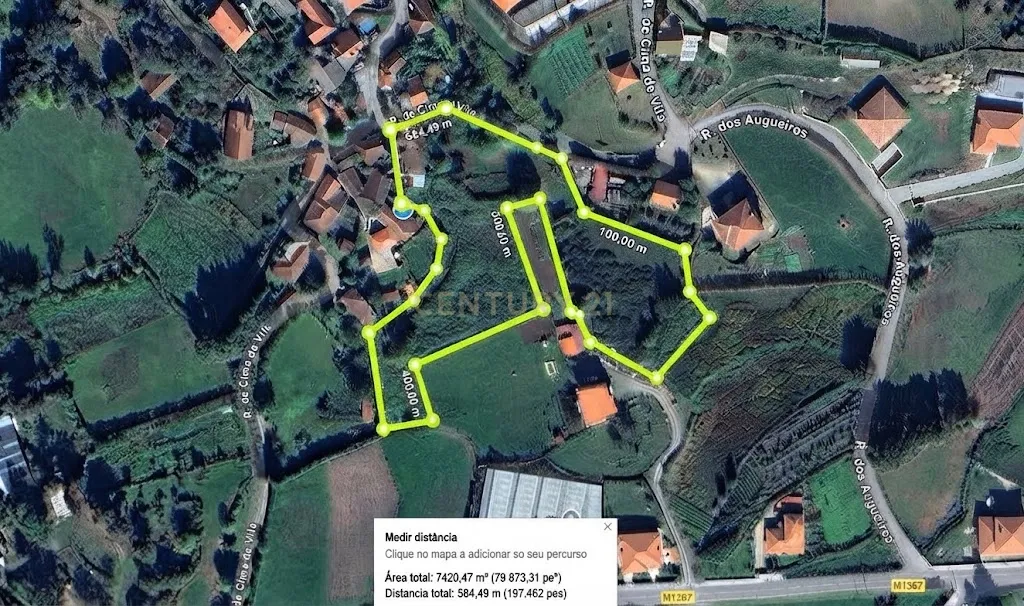 Quintinha Única com 6000m² de Terreno Construtivo – Serzedelo, Póvoa de Lanhoso - Image 2