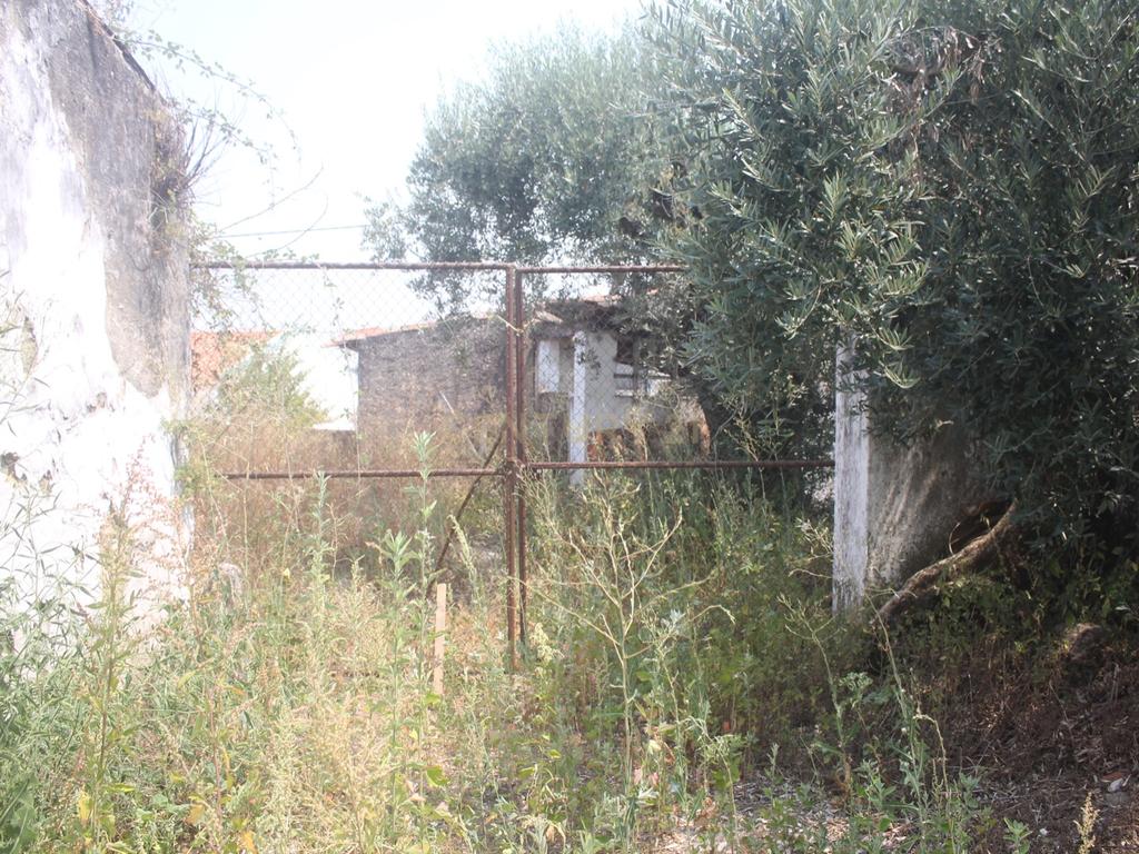 Ruína com Potencial em Moçarria, Santarém - Image 6