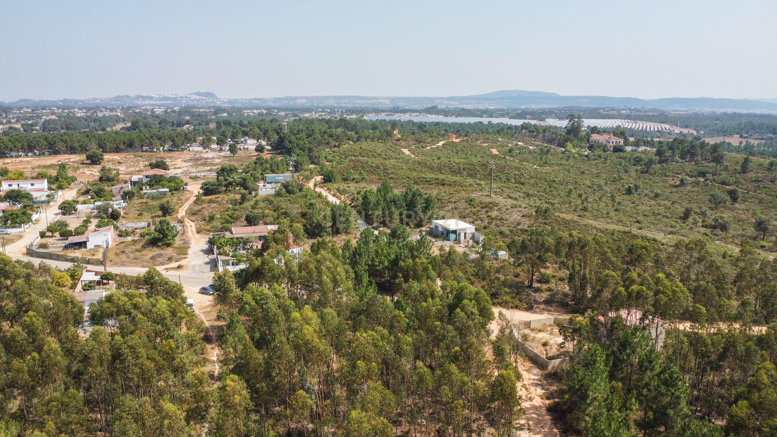 Fotografia 3 de Lote de Terreno com Elevado Potencial de Construção – Herdade do Pinhal das Formas, Quinta do Anjo