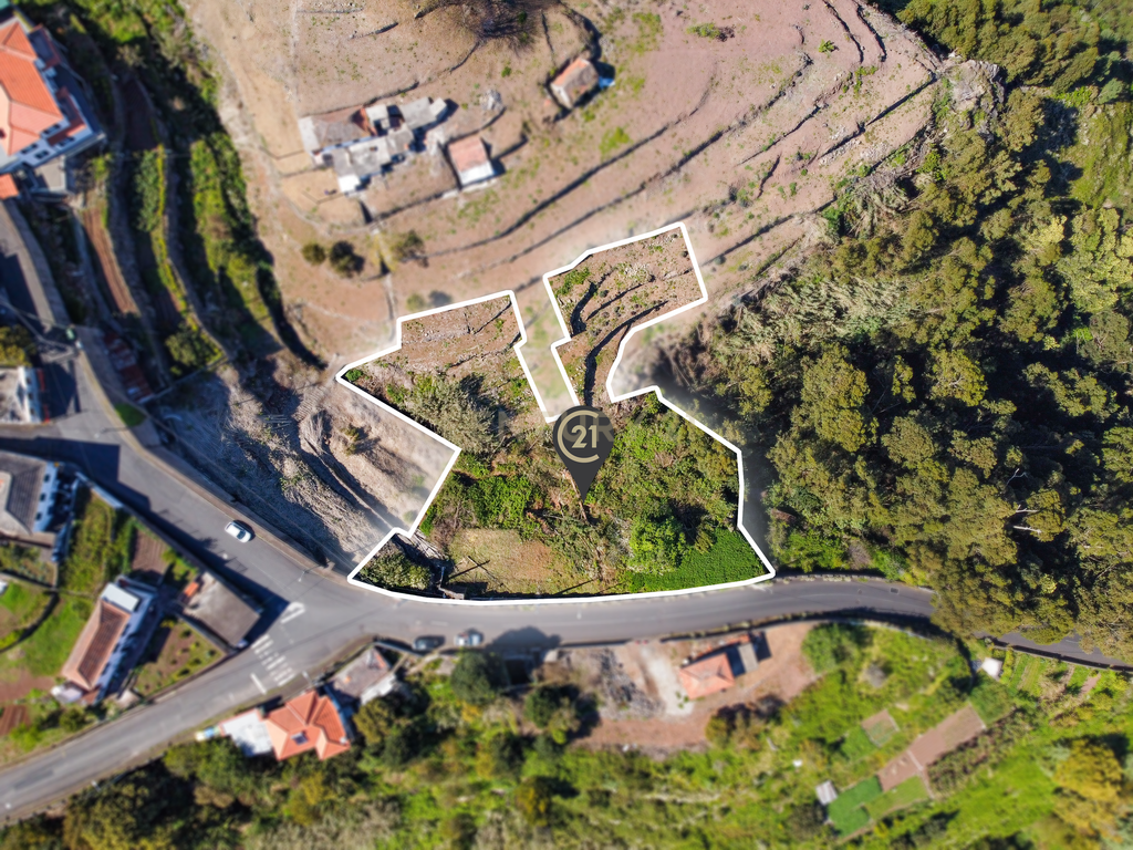 Terreno com Vista Mar e Potencial de Construção em Santa Cruz - Image 7