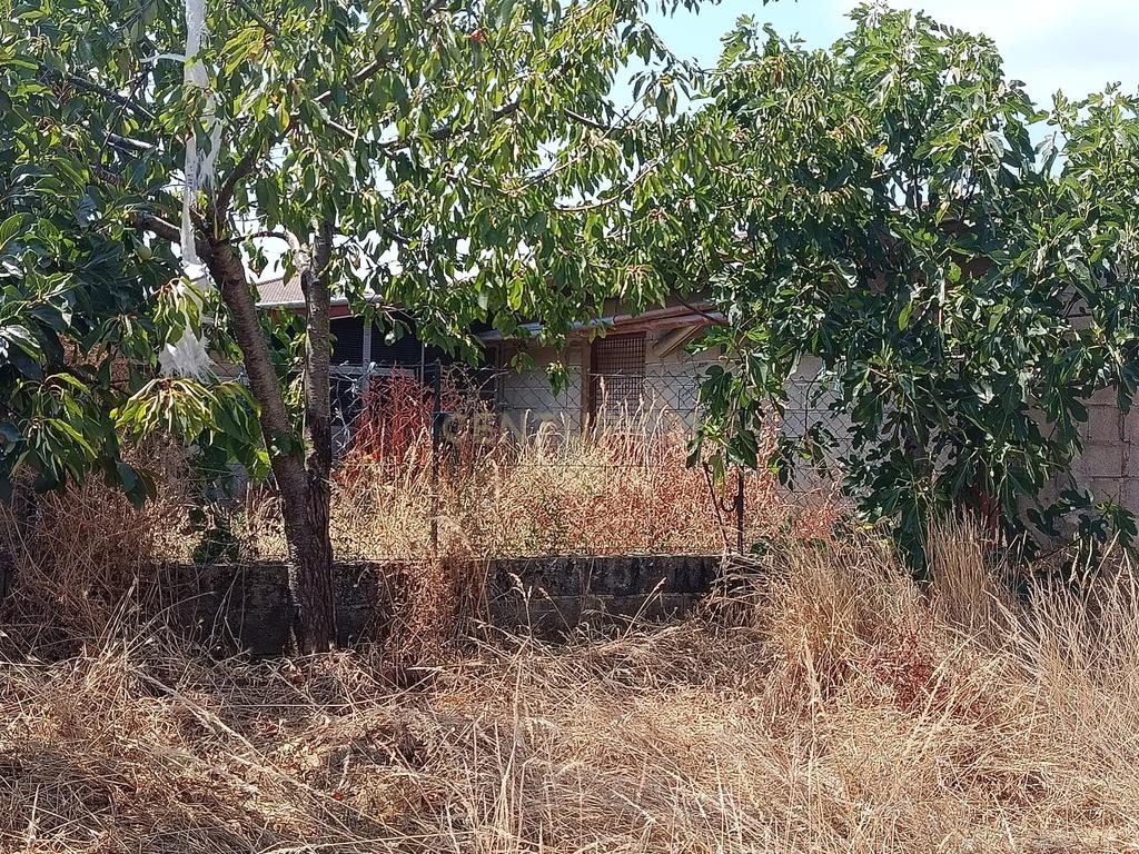 Moradia T4 com Terreno - Salsas - Bragança - Image 24