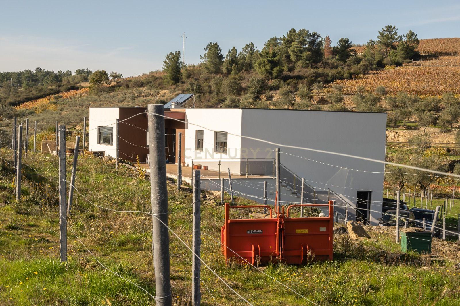 🏡Quinta com Moradia T3 e Vinha no Coração do Alto Douro Vinhateiro – Património Mundial da UNESCO - Image 71