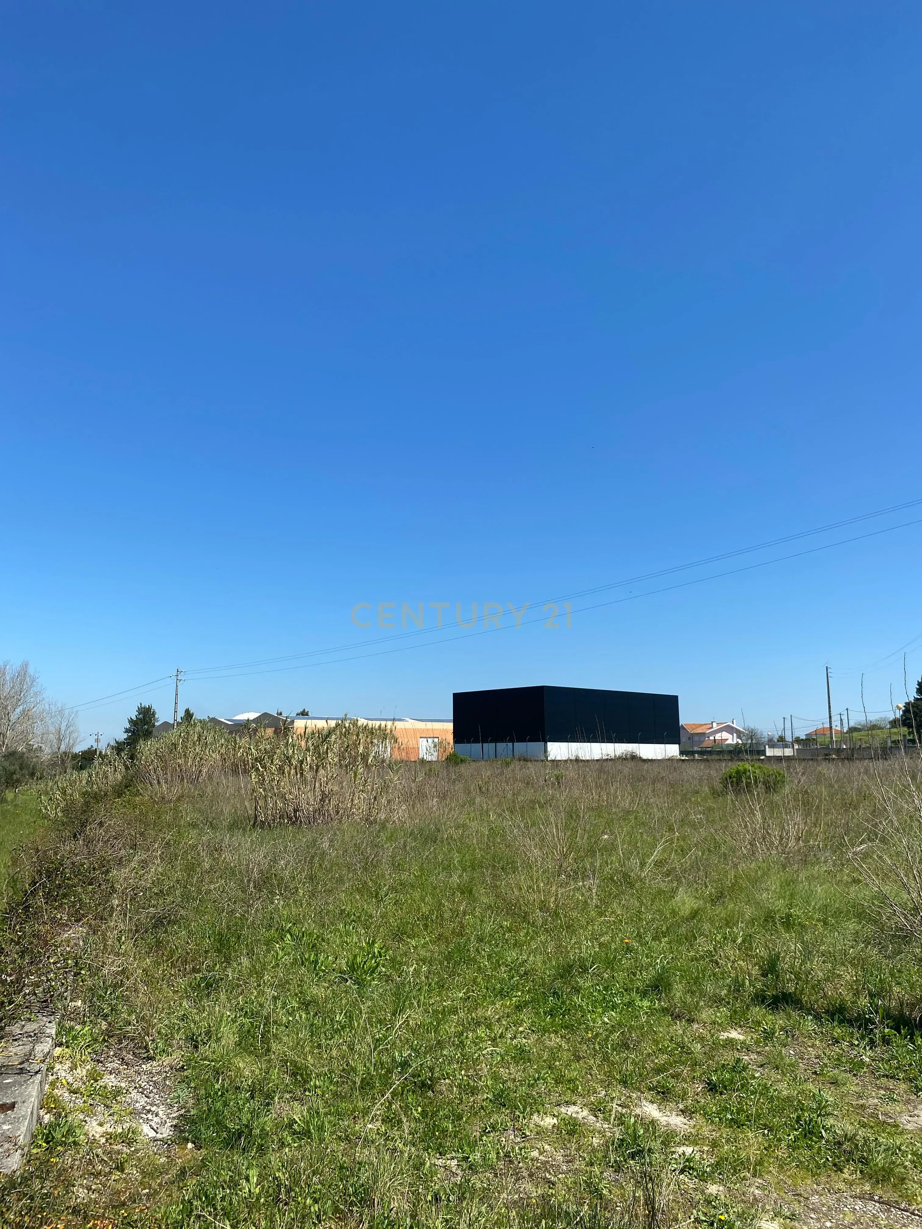 Terreno Panorâmico em Santarém - 120.000€ - Image 6