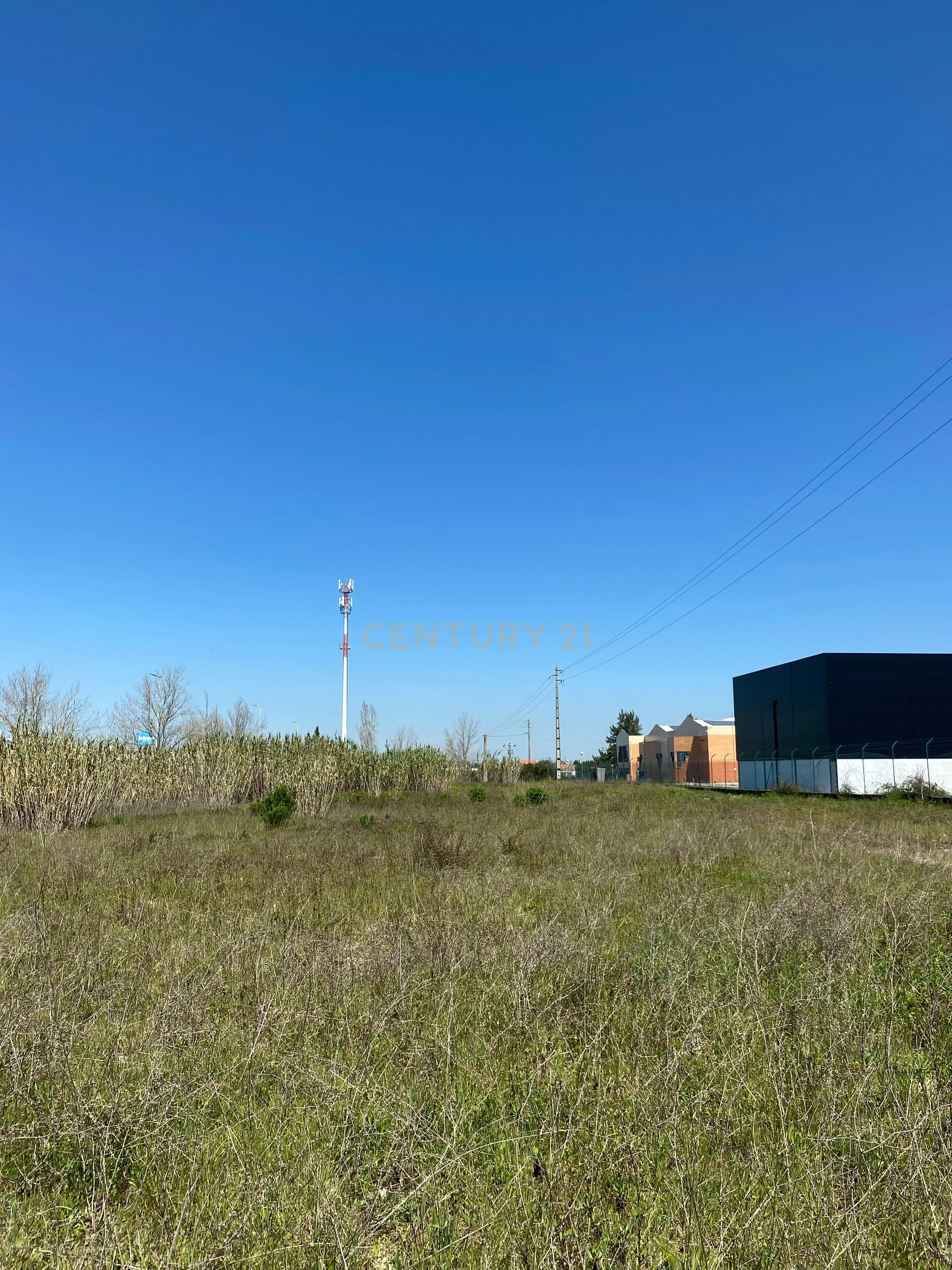 Terreno Panorâmico em Santarém - 120.000€ - Image 4