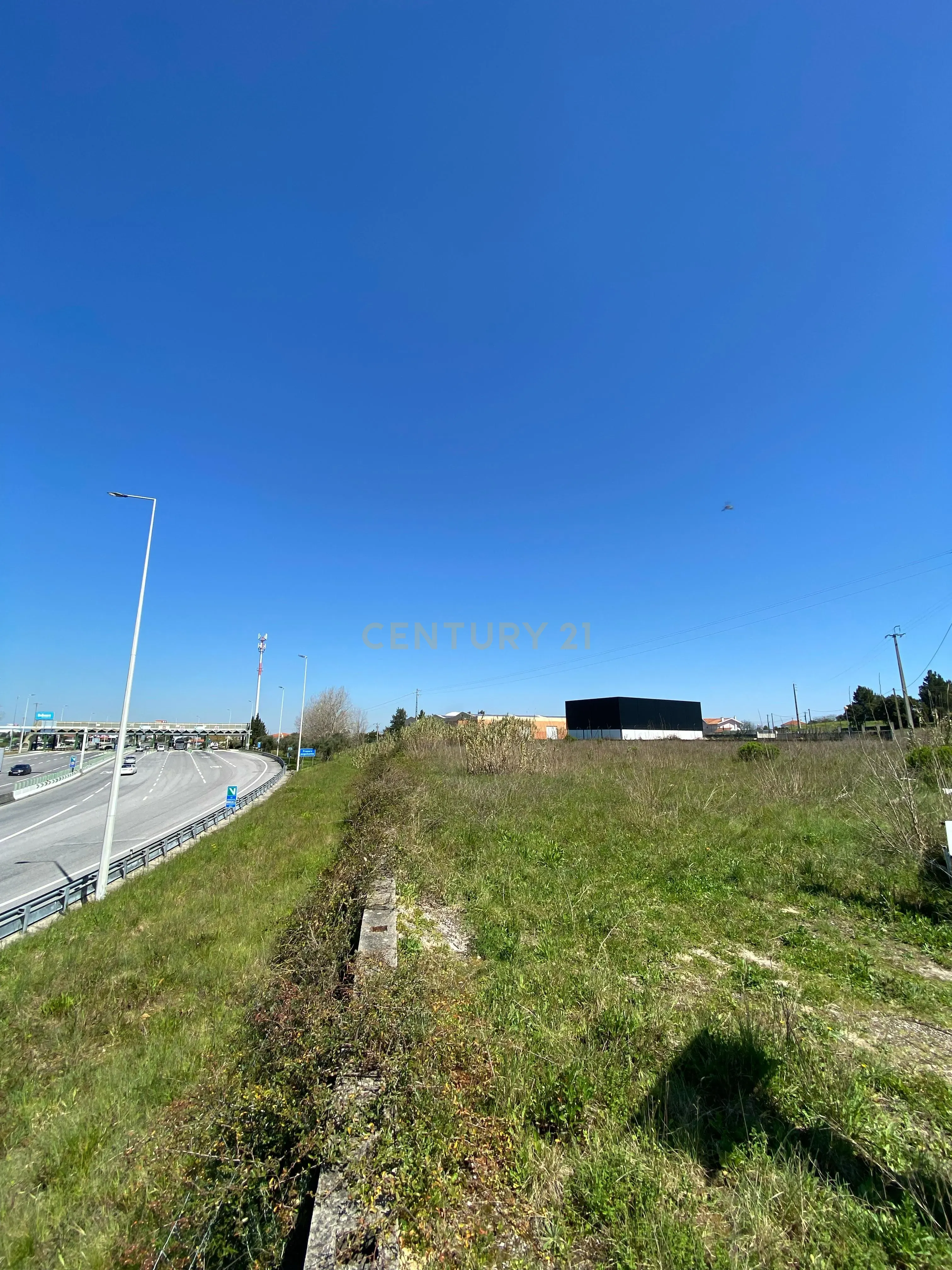 Terreno Panorâmico em Santarém - 120.000€ - Image 8