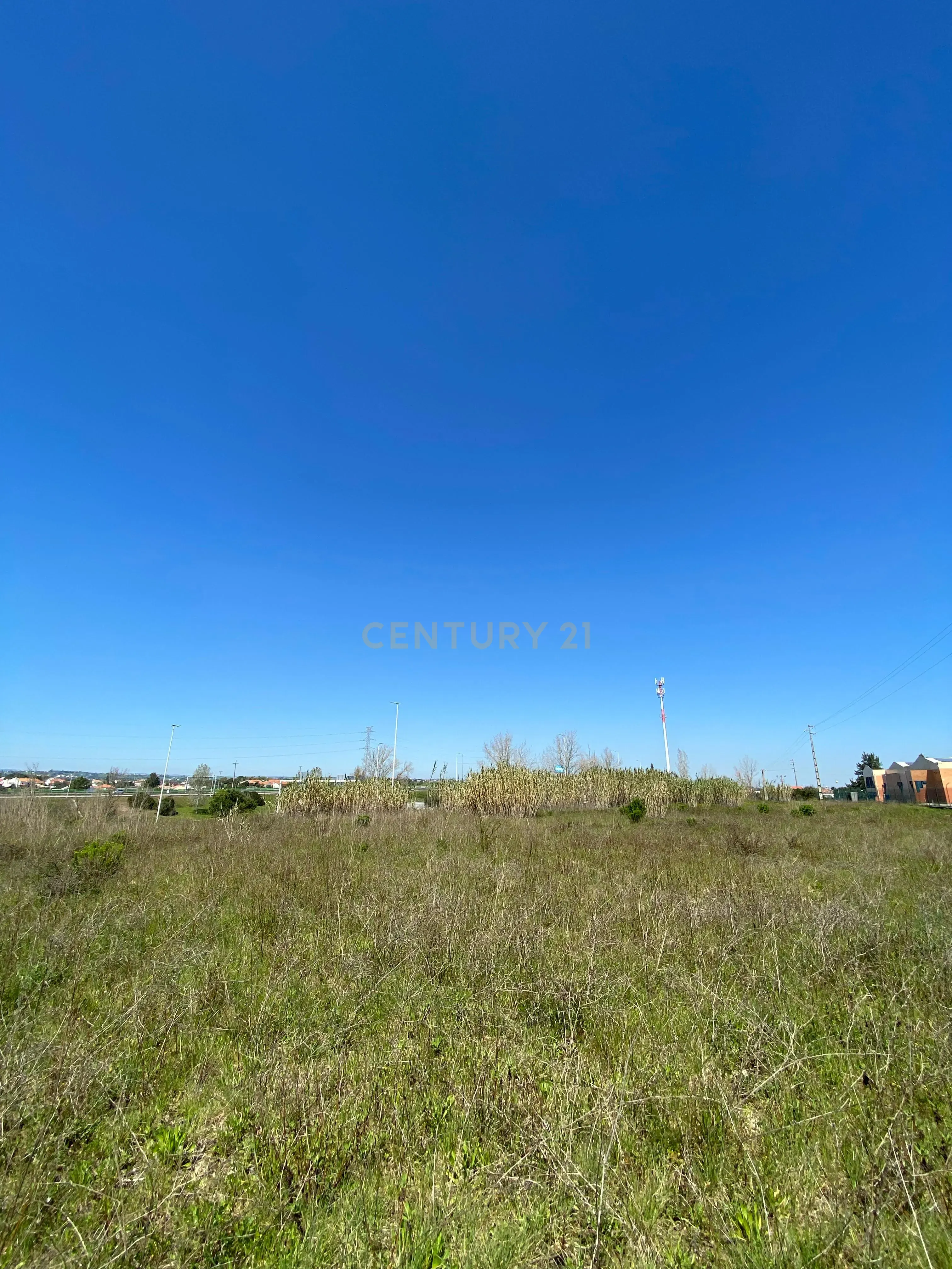 Terreno Panorâmico em Santarém - 120.000€ - Image 7