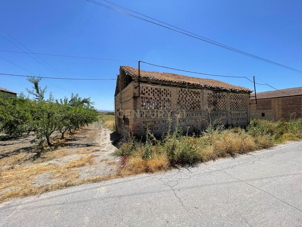 TERRENO DE REGADÍO CON SECADERO, JUNTO AL NÚCLEO URBANO DE FTE. VAQUEROS - Image 1