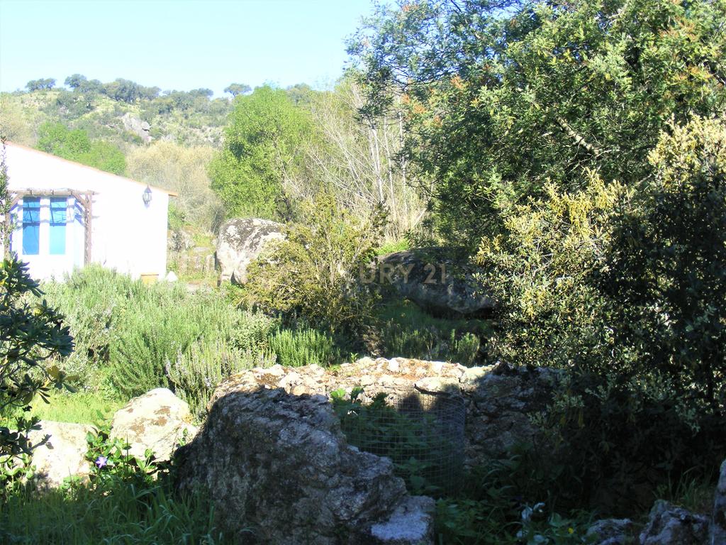 Quinta Típica Alentejana, Licença de Turismo Rural, Arrendamento, Arraiolos - Image 23
