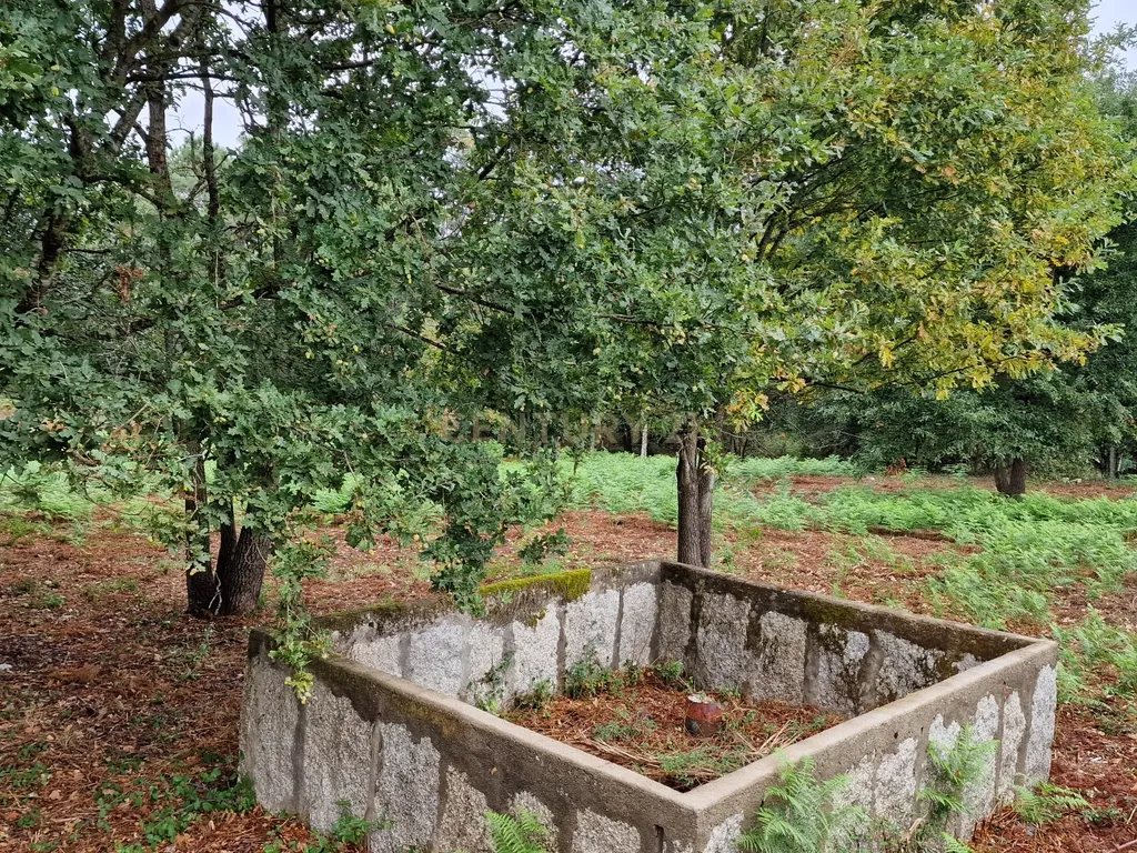 Terreno plano, com 2152m2, localizado a 5 minutos do centro de S. Pedro da Torre - Image 8