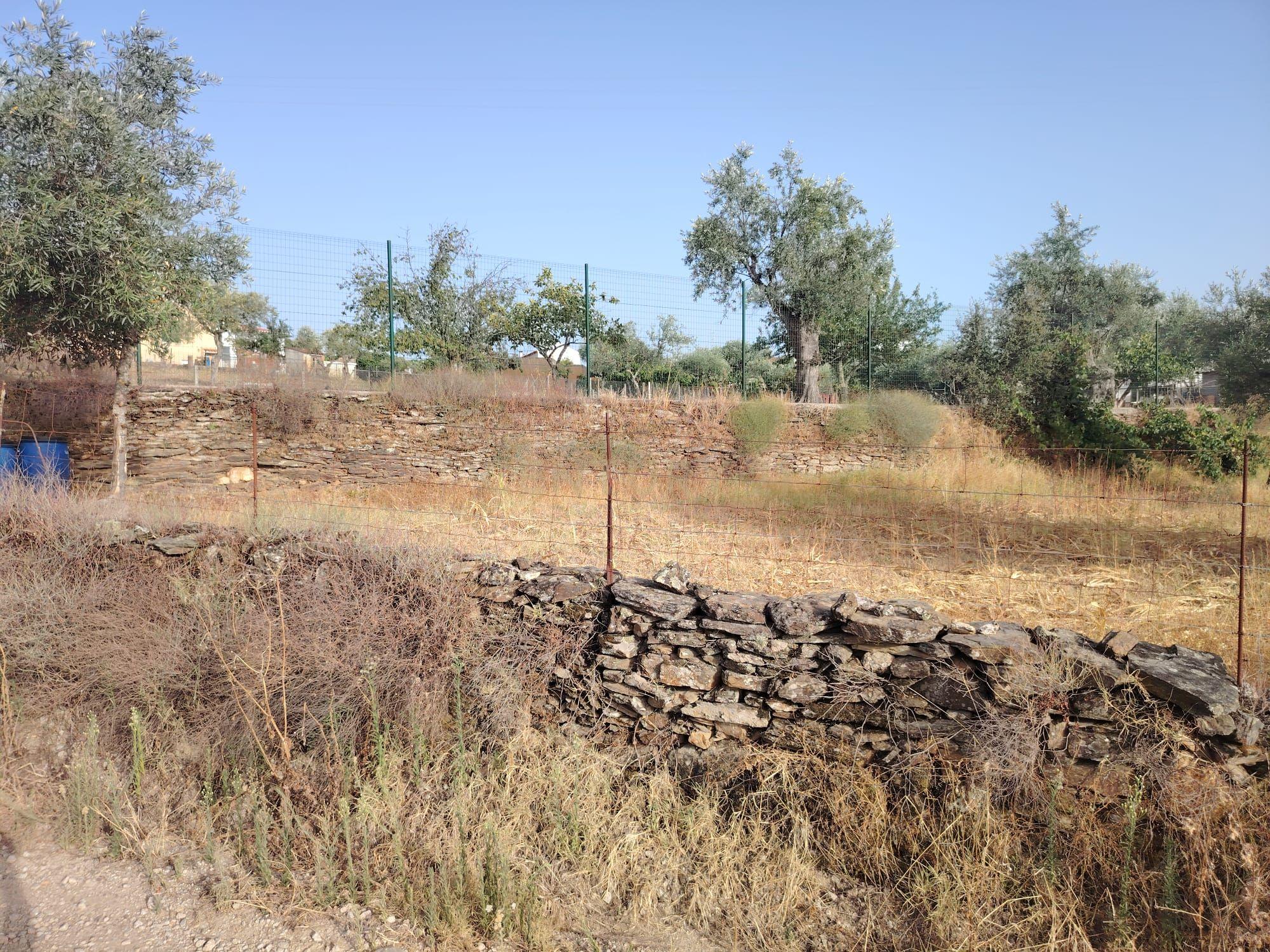 Fotografia 5 de OPORTUNIDADE DE INVESTIMENTO | TERRENO RÚSTICO, AMARELOS