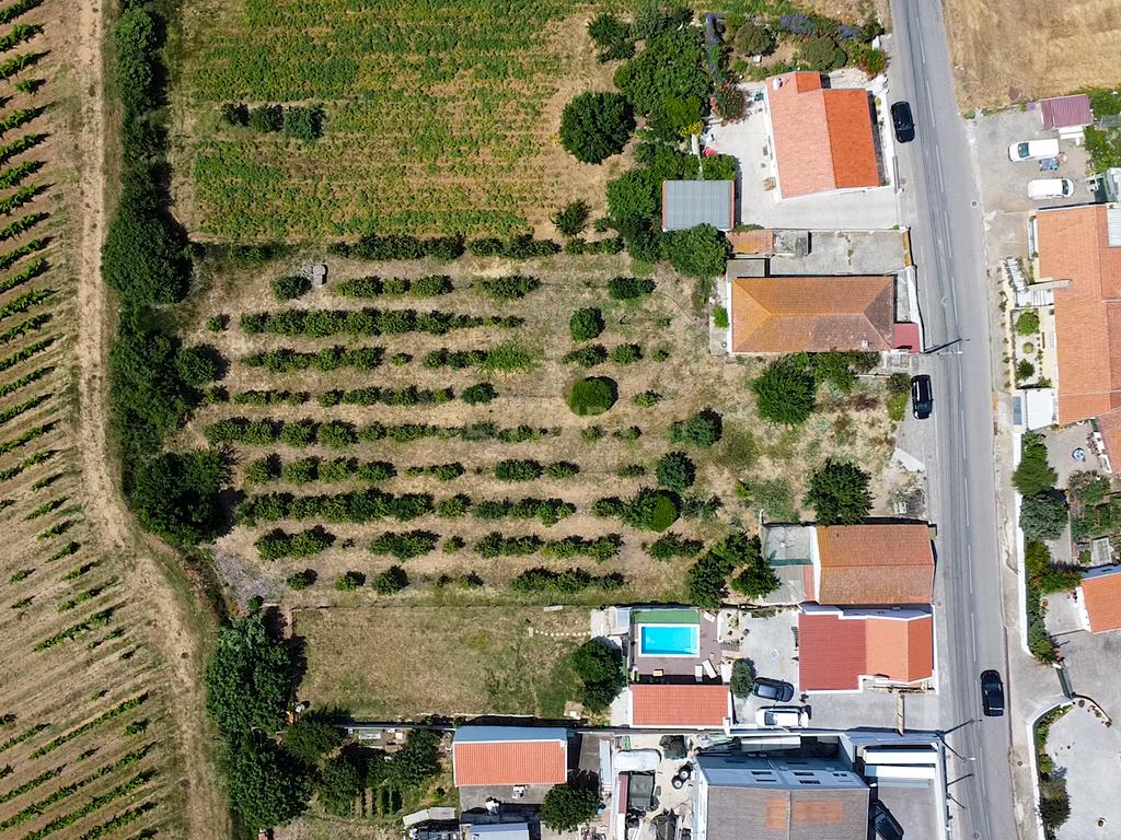 Pequena Quinta em Bonabal – Ventosa, Torres Vedras - Image 8
