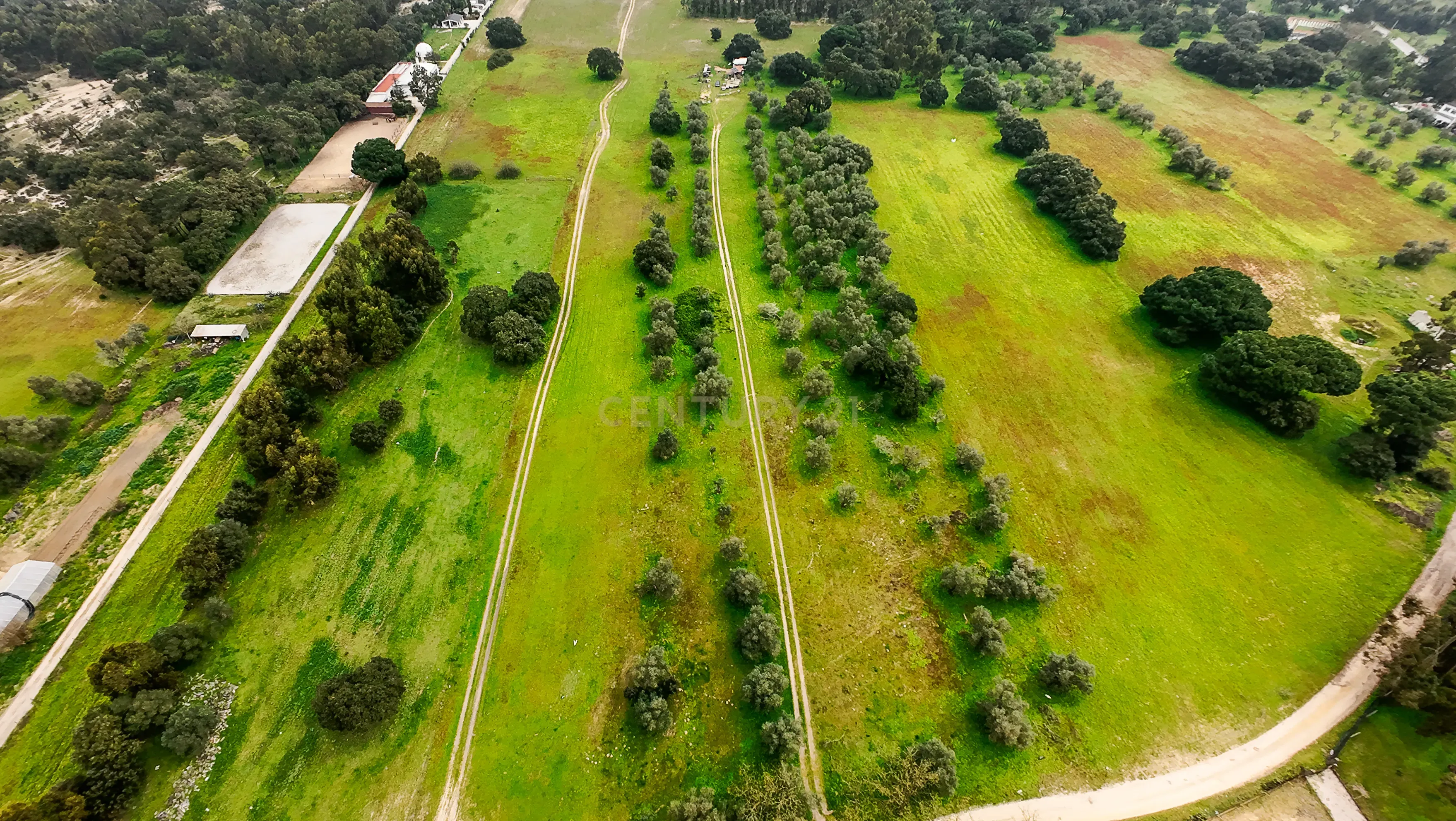 Fotografia 10 de Quinta do Anjo - Terreno Rústico com 10 000m2