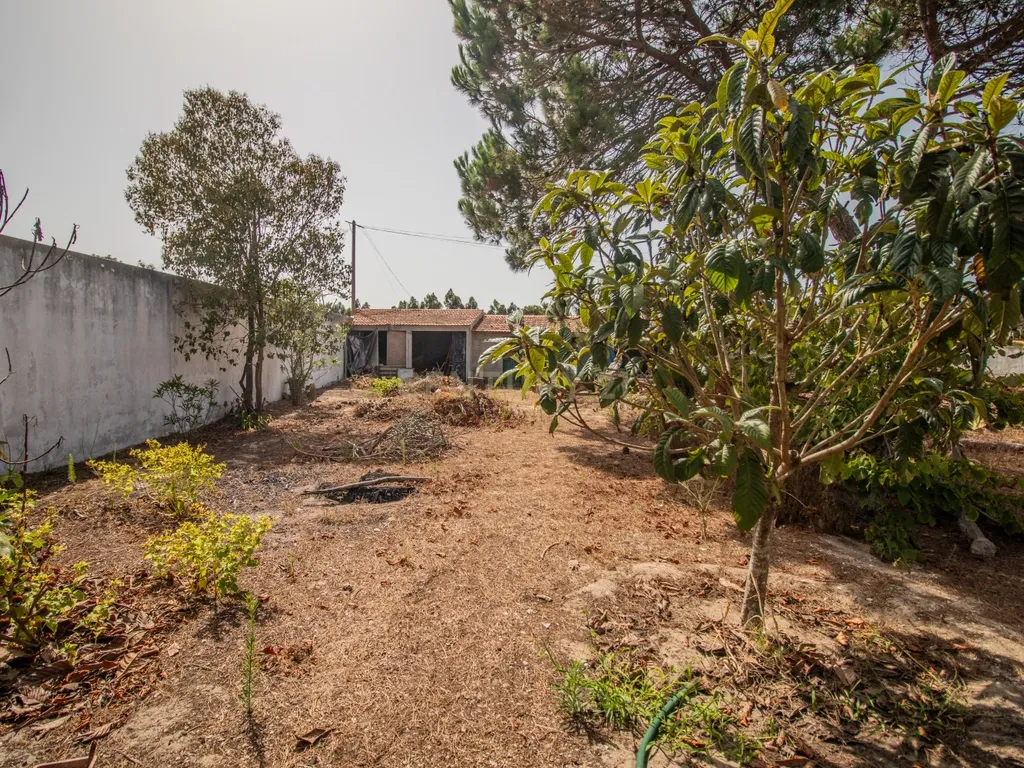 Moradia térrea T3+T0 com piscina, garagem e terreno com 2.257 m², no Ervedal, em Quiaios - Image 57