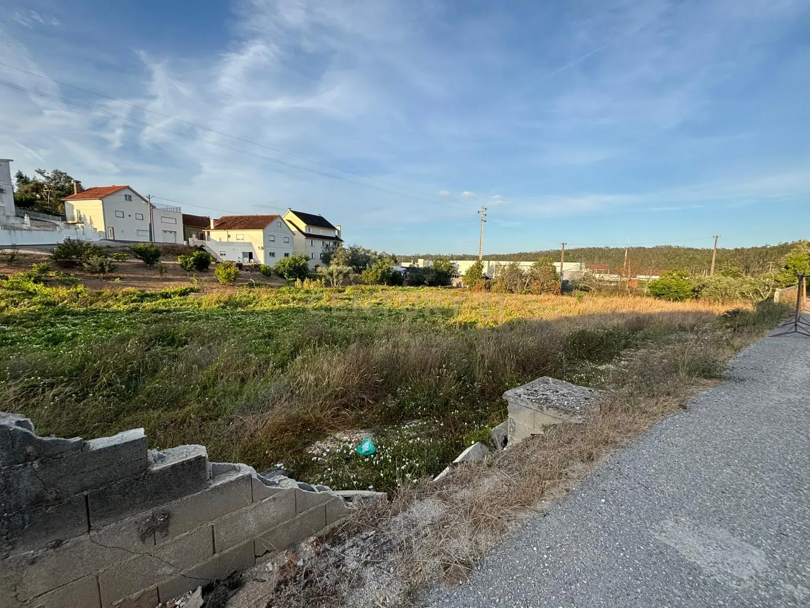 Fotografia 8 de Terreno rústico com viabilidade construtiva em Albergaria dos Doze, Pombal