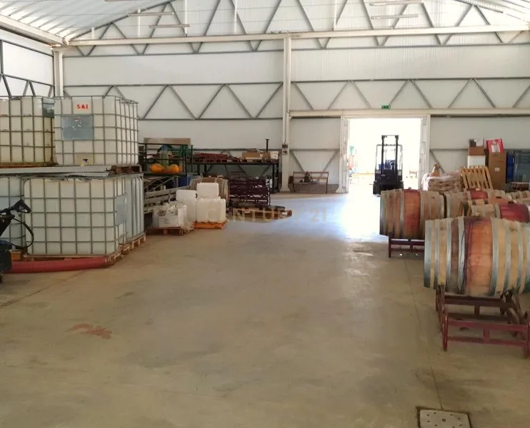 Herdades com produção Vinho, com 157,3ha situada em Terrugem, concelho de Elvas - Image 18