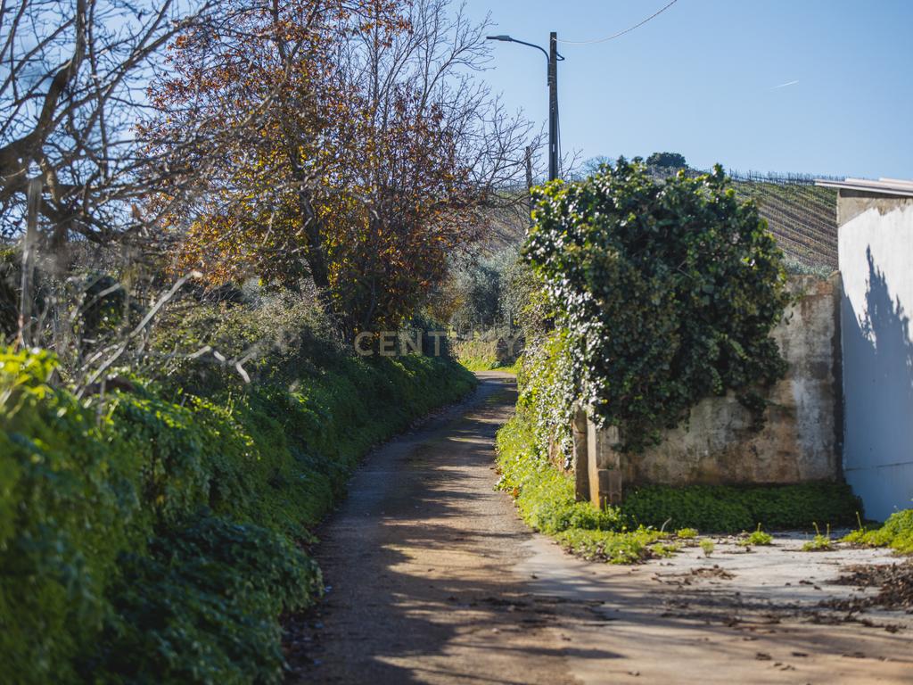 Moradia Térrea T4+1 - Image 63