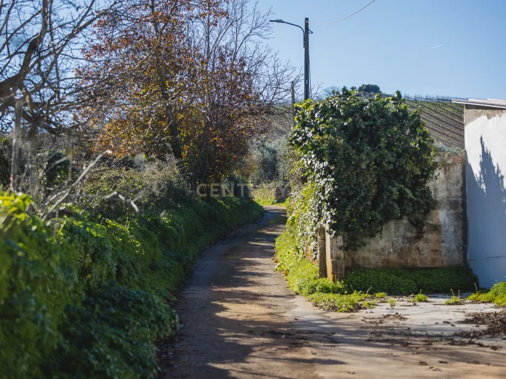 Moradia Térrea T4+1 - Image 63