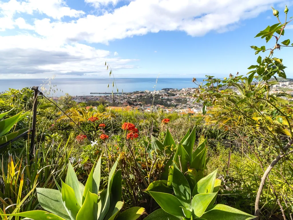 Maravilhosa Quinta tradicional no Funchal: uma oportunidade imperdível! - Image 3