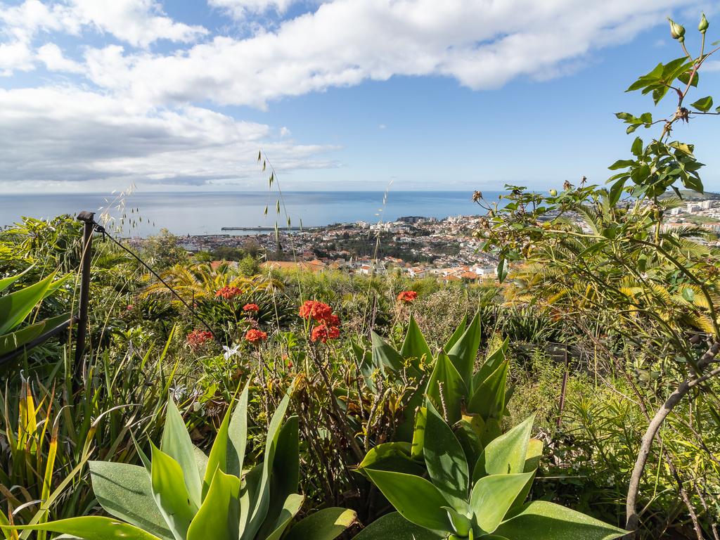 Maravilhosa Quinta tradicional no Funchal: uma oportunidade imperdível! - Image 23