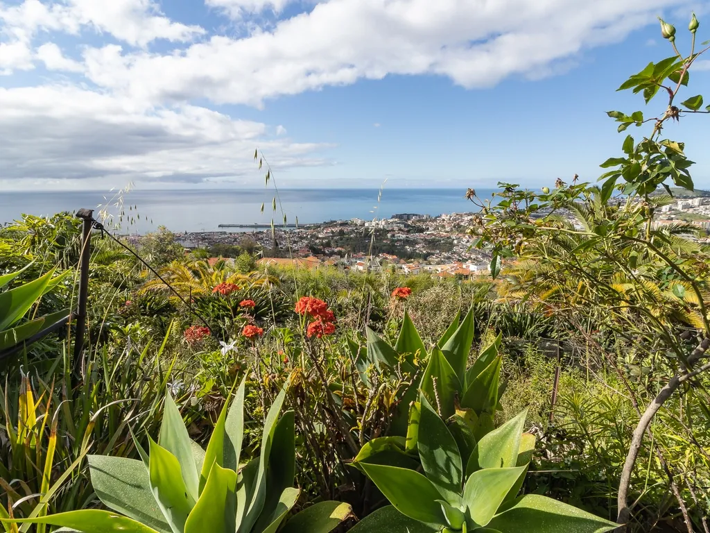 Maravilhosa Quinta tradicional no Funchal: uma oportunidade imperdível! - Image 23