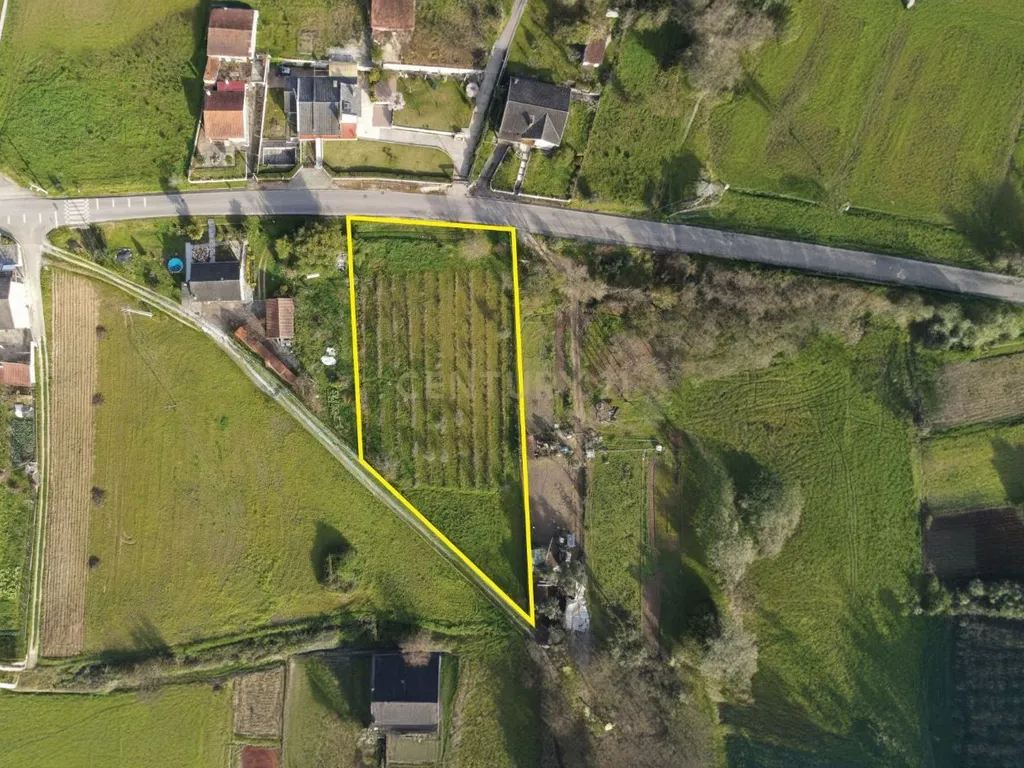 Terreno para construção com poço - Lousã - Image 2