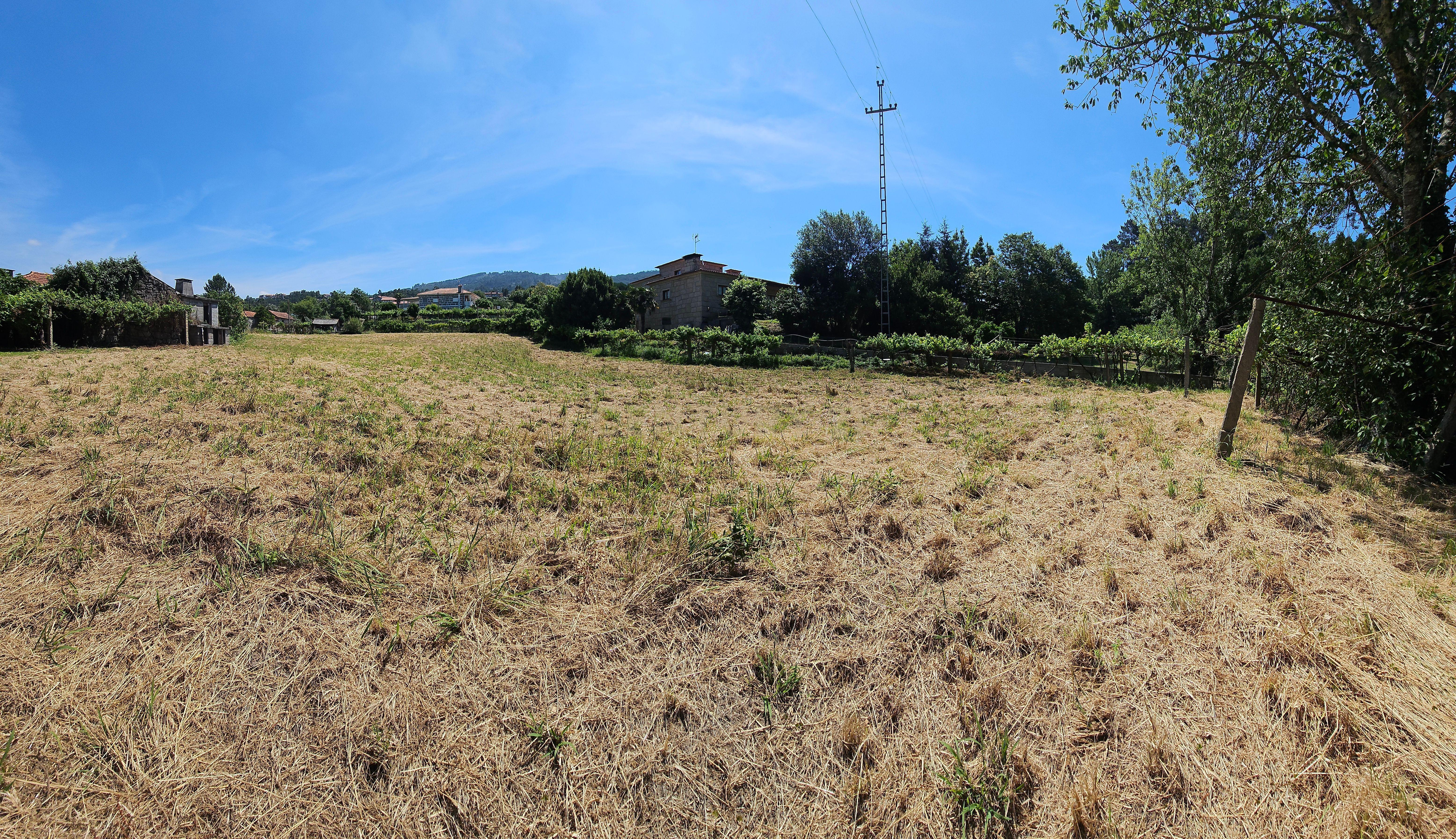 Quinta - Termas de S. Vicente - Image 13