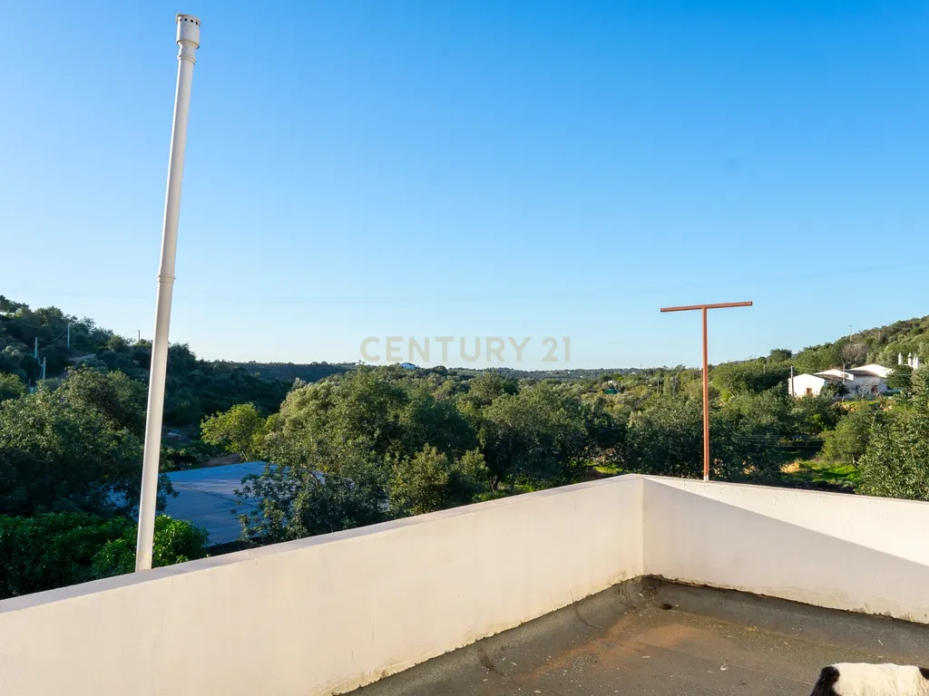 Quinta dos Netos em Santa Catarina da Fonte do Bispo - Image 4