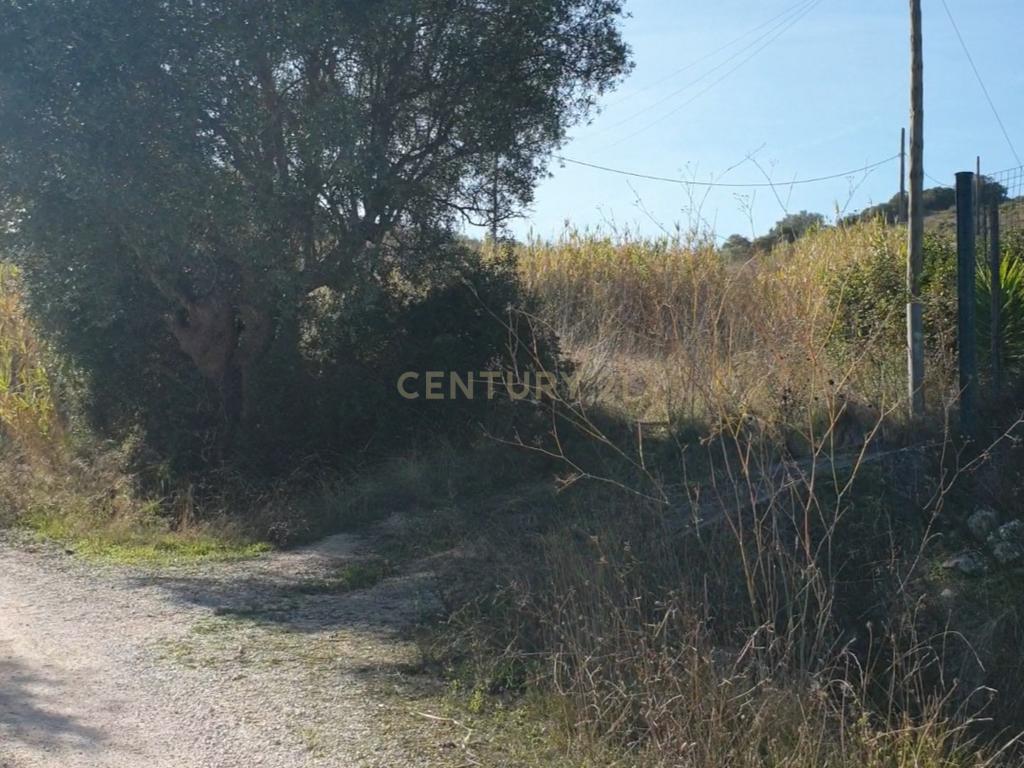 Fantástico e grandioso terreno em Alenquer - Image 2