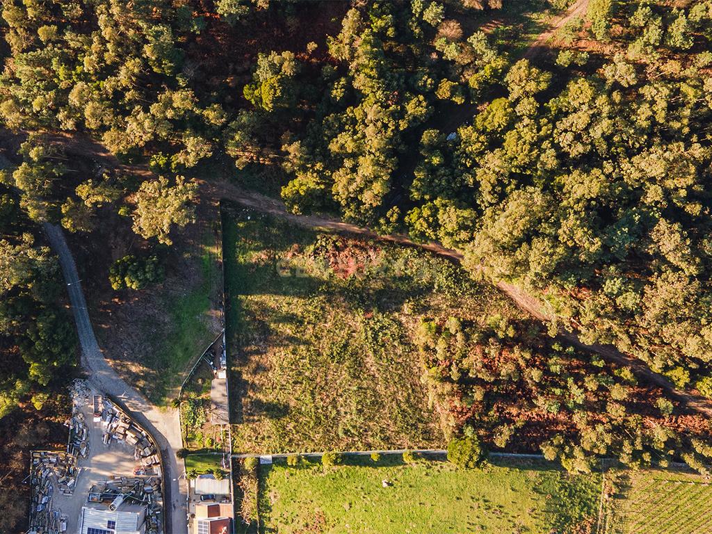 Excelente investimento, terreno rústico em Paços de Ferreira - Image 3