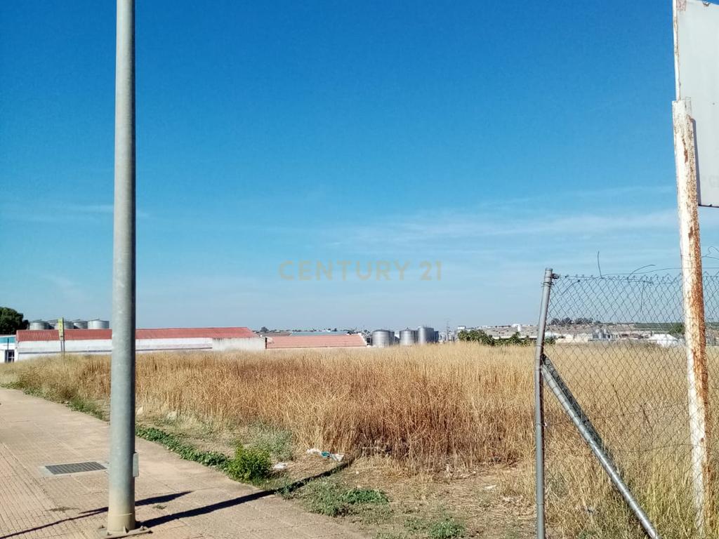 undefined - Image 9