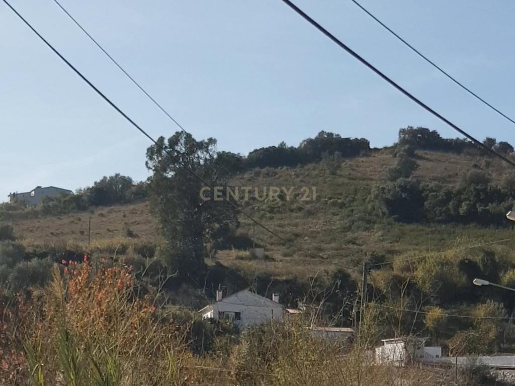 Fantástico e grandioso terreno em Alenquer - Image 10