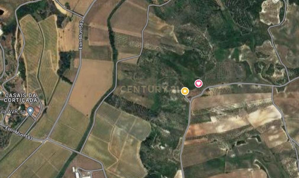 Terreno rústico de 19.720,00 m2 em Abitureiras para vinha e Olival - Image 10