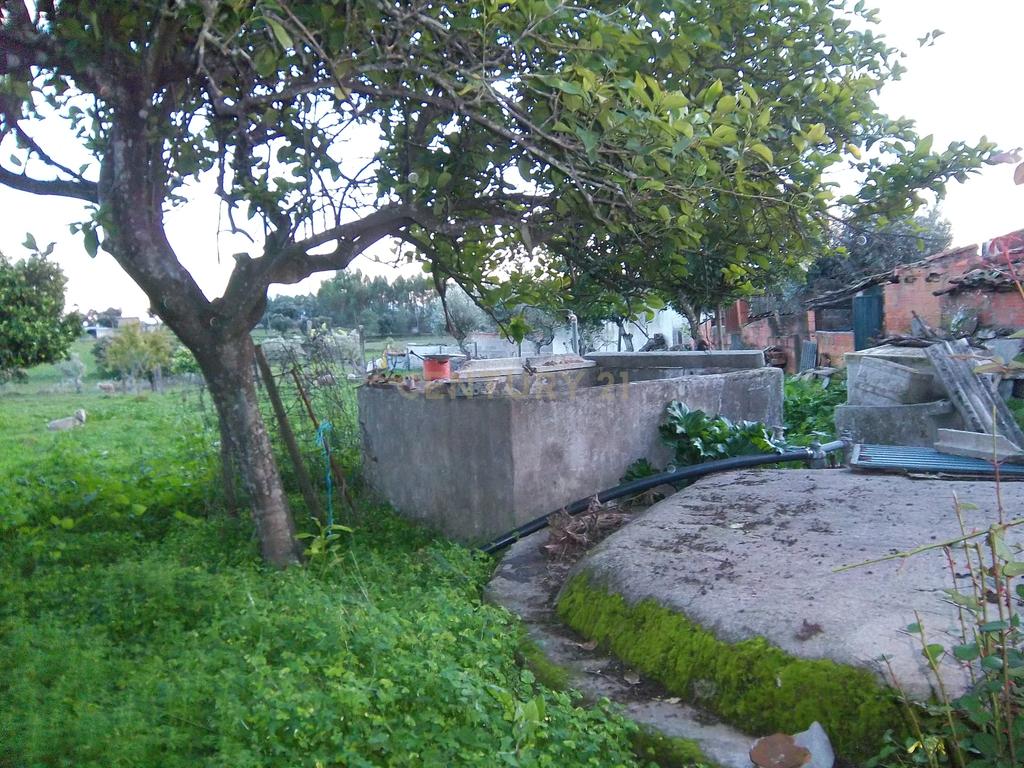 Moradia P/Recuperar Amarelos, Sarnadas de Ródão - Image 1