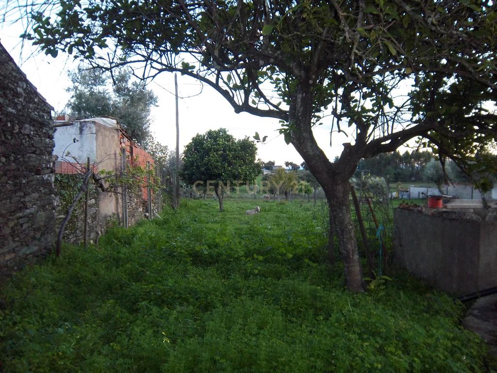Moradia P/Recuperar Amarelos, Sarnadas de Ródão - Image 27