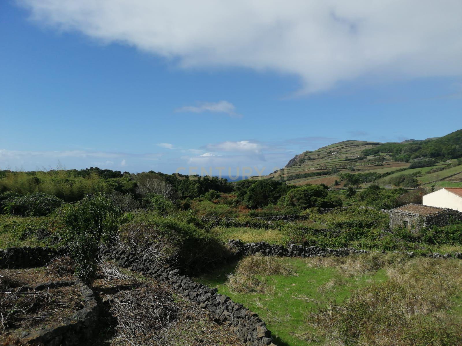 Moradia a reabilitar em zona calma na Ilha da Graciosa - Image 3