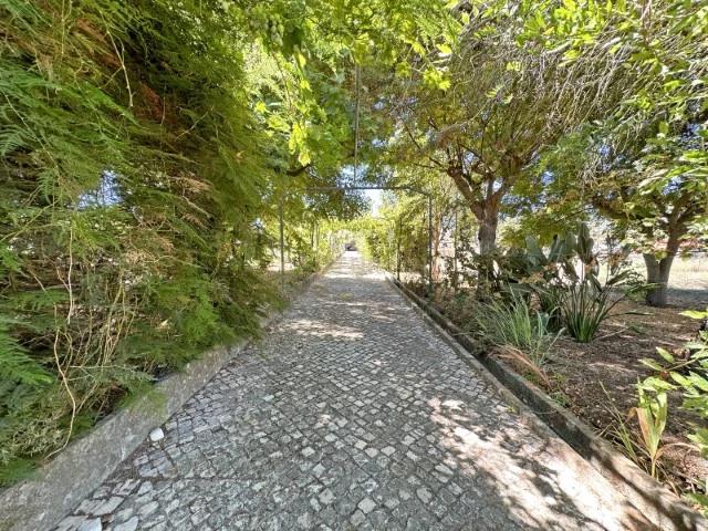 Quinta á venda nos Brejos de Azeitão em Setubal - Image 5