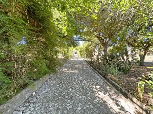 Quinta á venda nos Brejos de Azeitão em Setubal - Image 5