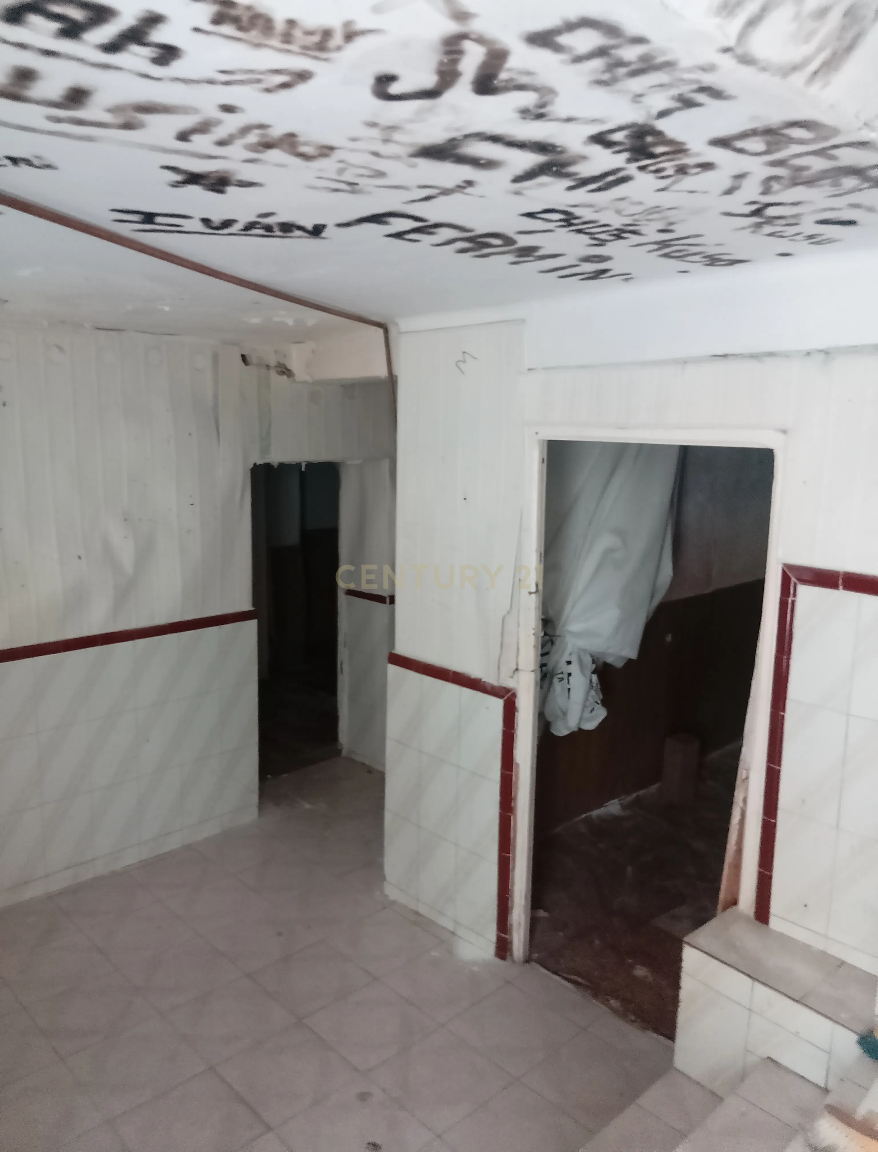 undefined - Image 5