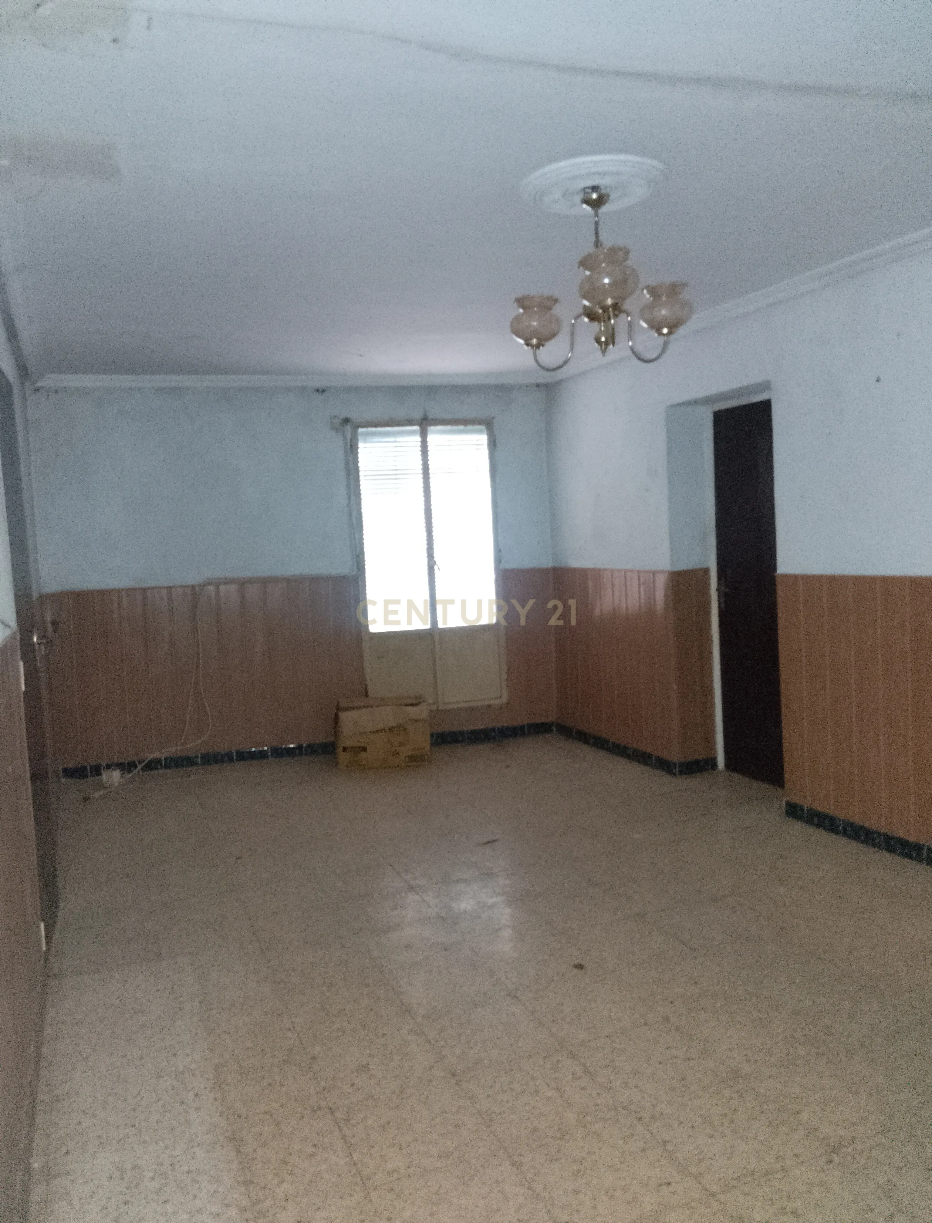undefined - Image 10