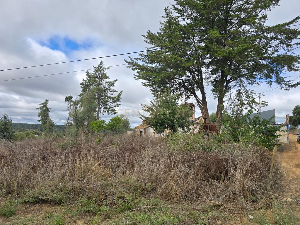 Lote de Terreno com Ruína em Montemor-o-Novo - Image 3